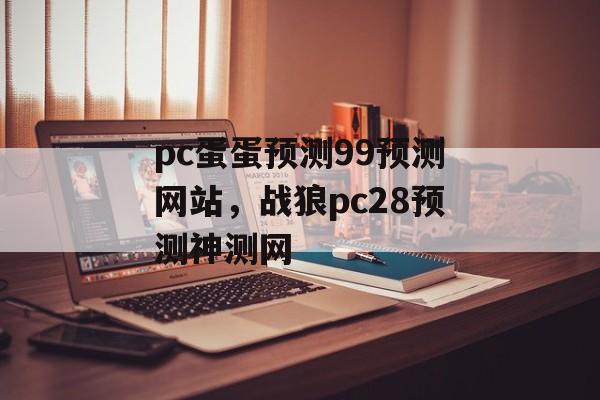 pc蛋蛋预测99预测网站，战狼pc28预测神测网